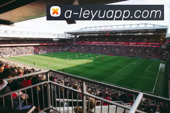 乐鱼官网平台生态图