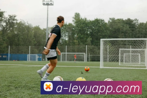 App Interface Preview