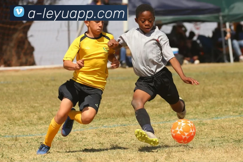 乐鱼官网APP 封面图